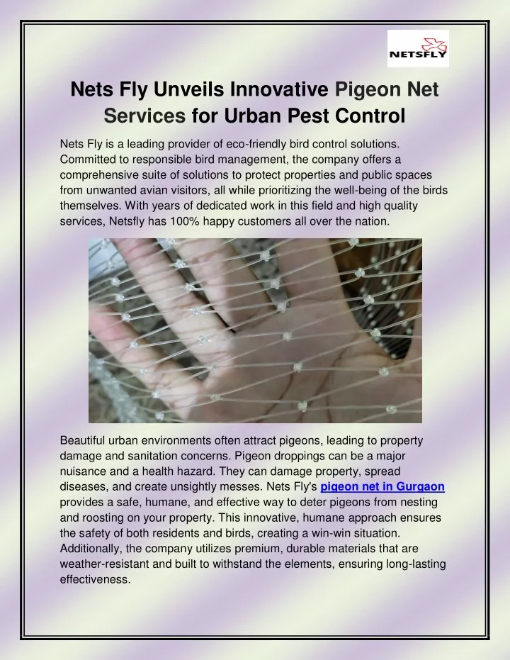 nets fly unveils innovative pigeon net services