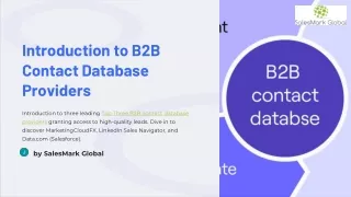 introduction to b2b contact database providers