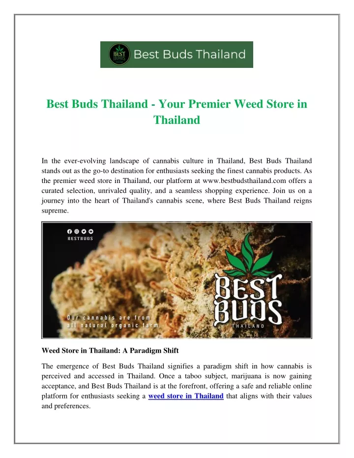 best buds thailand your premier weed store