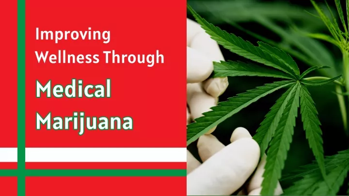 improving wellness through medical marijuana