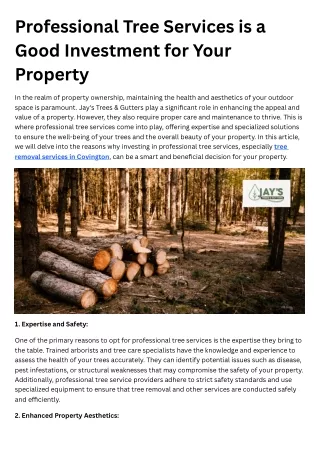 Professional Tree Services a Good Investment for Your Property