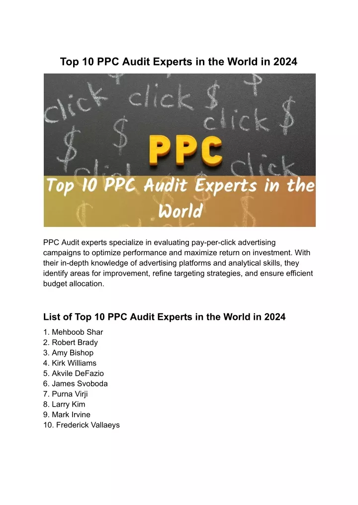 top 10 ppc audit experts in the world in 2024