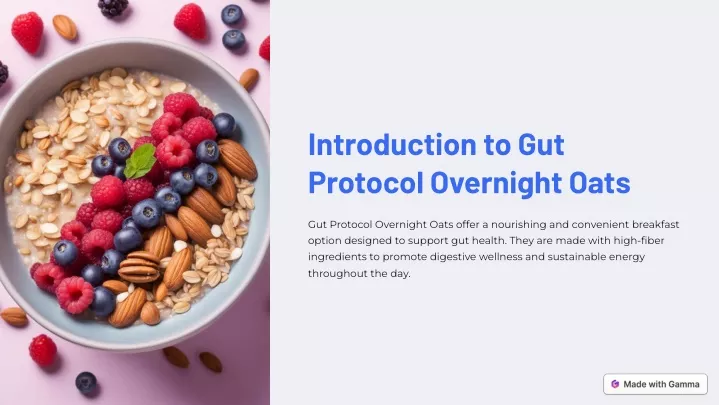introduction to gut protocol overnight oats