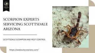 Scorpion Experts Servicing Scottsdale Arizona