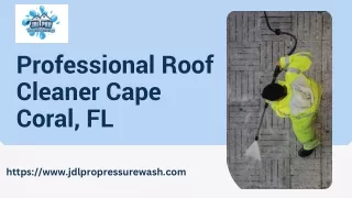 Professional Roof Cleaner Cape Coral, FL