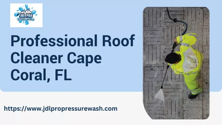 professional roof cleaner cape coral fl