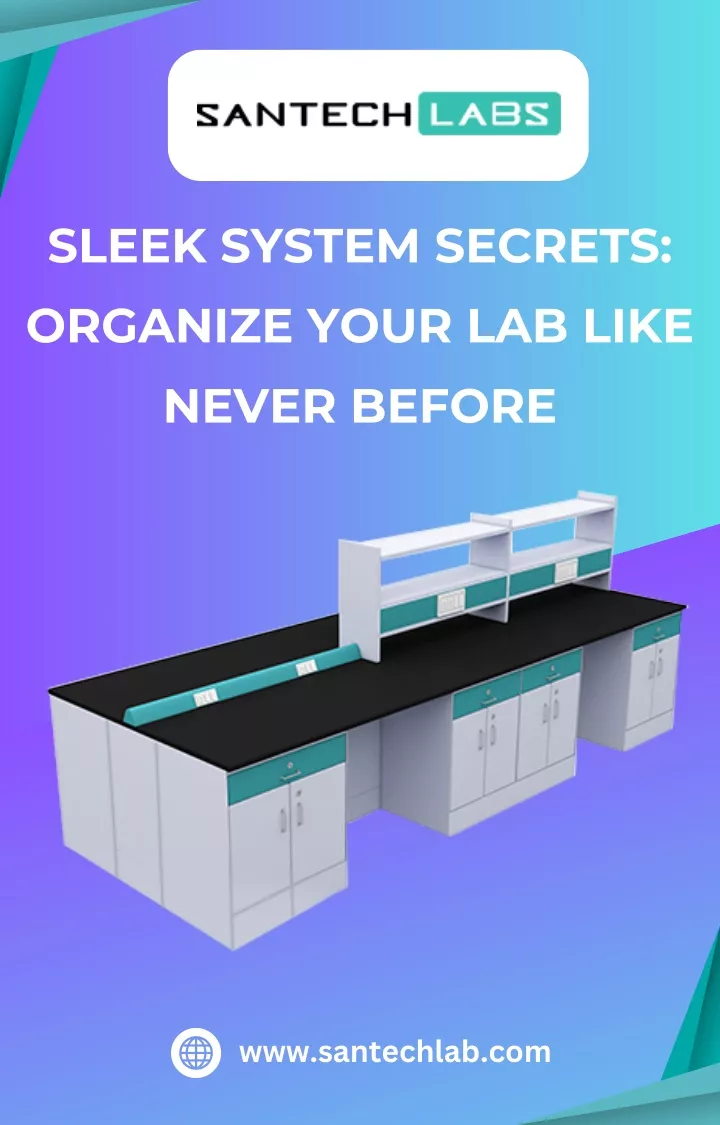 sleek system secrets organize your lab like never