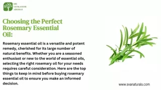 Choosing the Perfect Rosemary Essential Oil