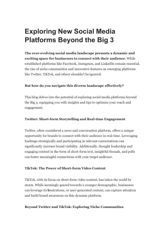 Exploring New Social Media Platforms Beyond the Big 3