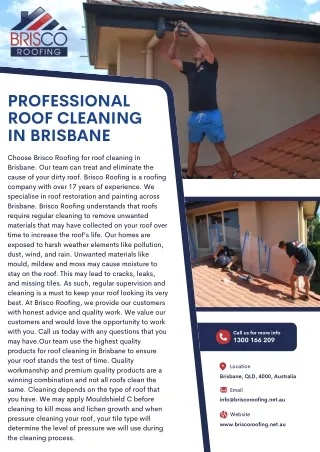 Roof Cleaning Brisbane-Brisco Roofing (2)