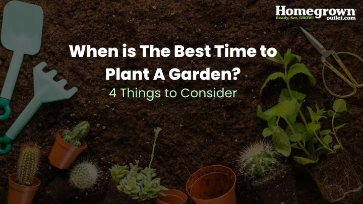 when is the best time to plant a garden 4 things