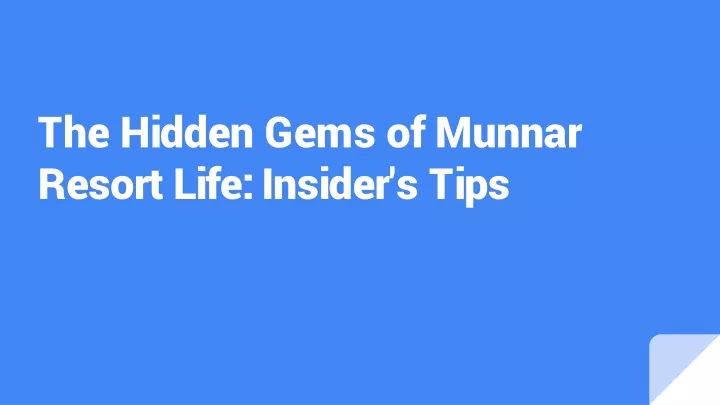 the hidden gems of munnar resort life insider s tips