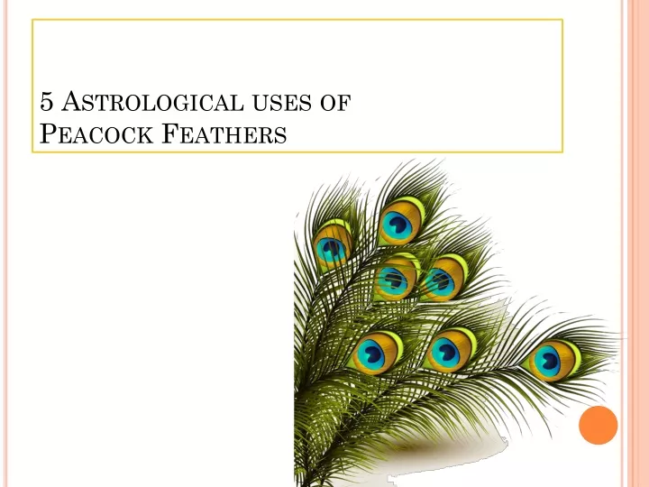 5 astrological uses of peacock feathers