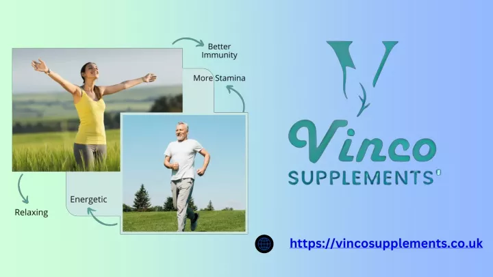 https vincosupplements co uk