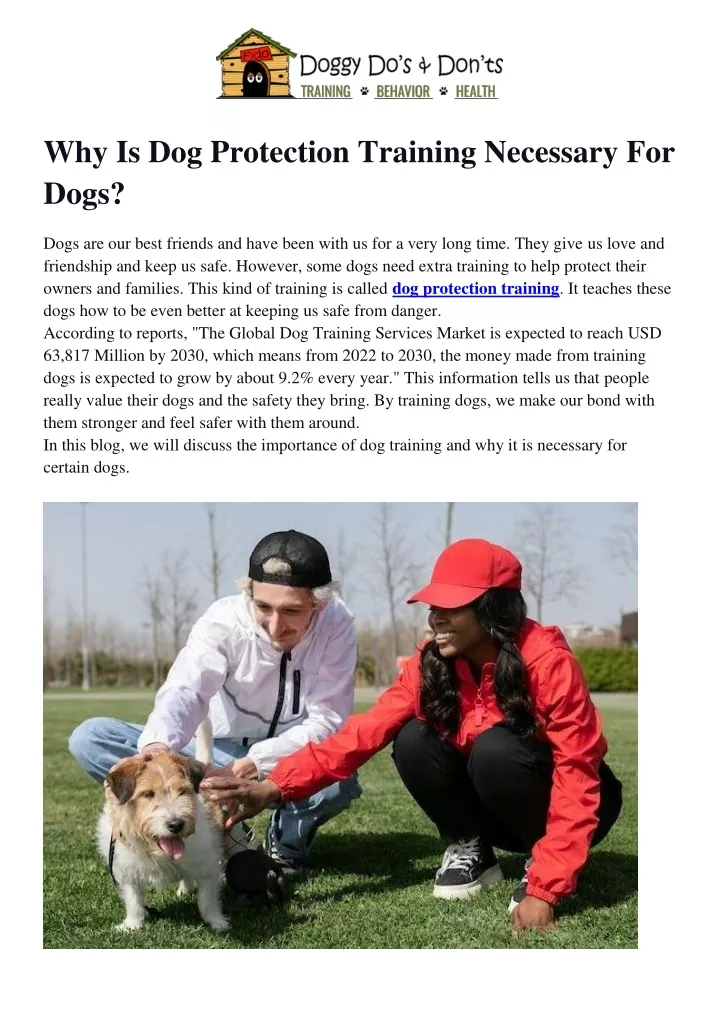 why is dog protection training necessary for dogs