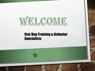 The Best Dog Training Classes in Platt Park - Star Dog Training & Behavior Speci