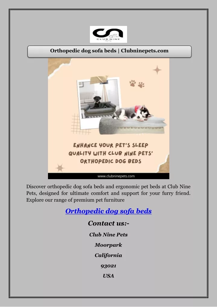 orthopedic dog sofa beds clubninepets com