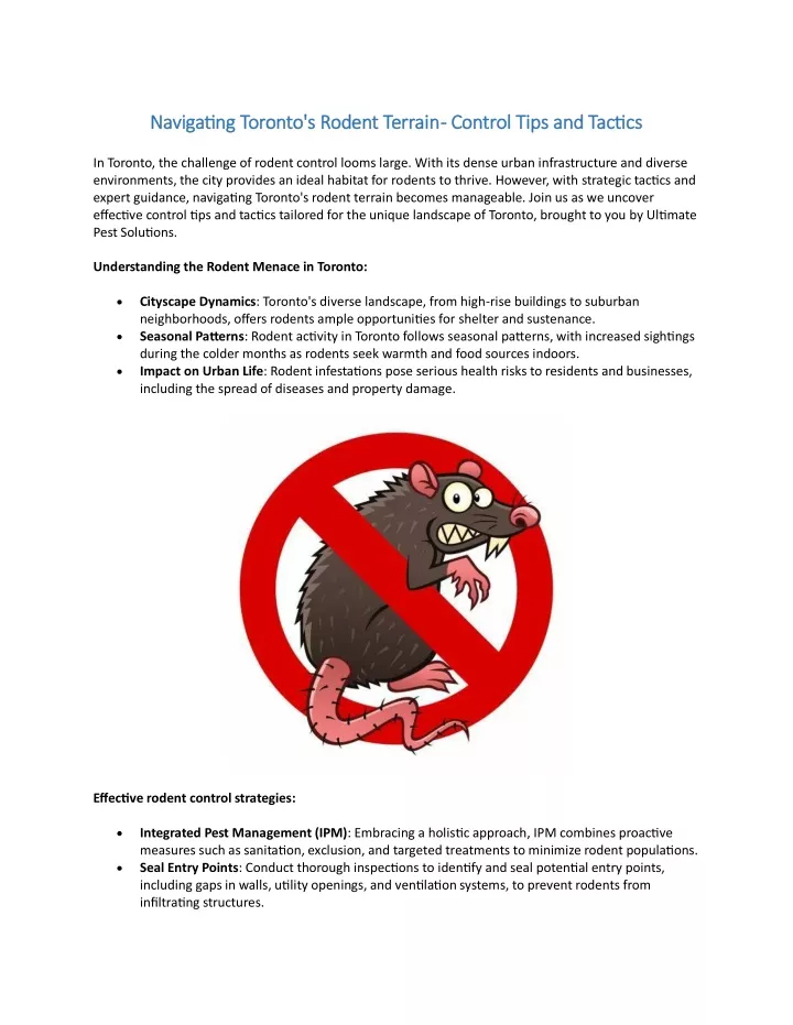 navigating toronto s rodent terrain navigating