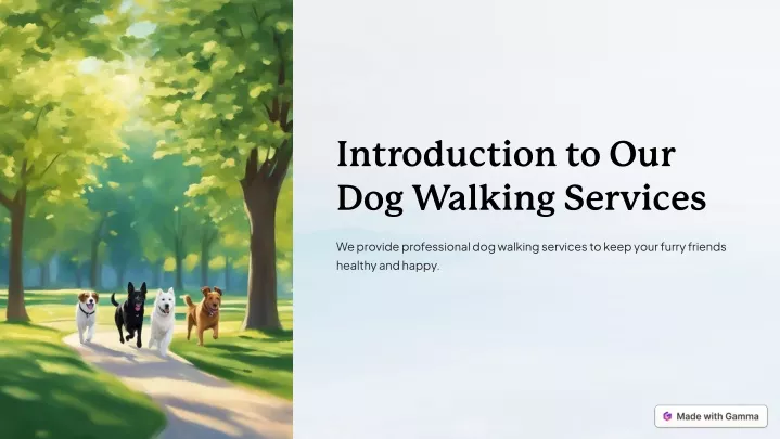 introduction to our dog walking services