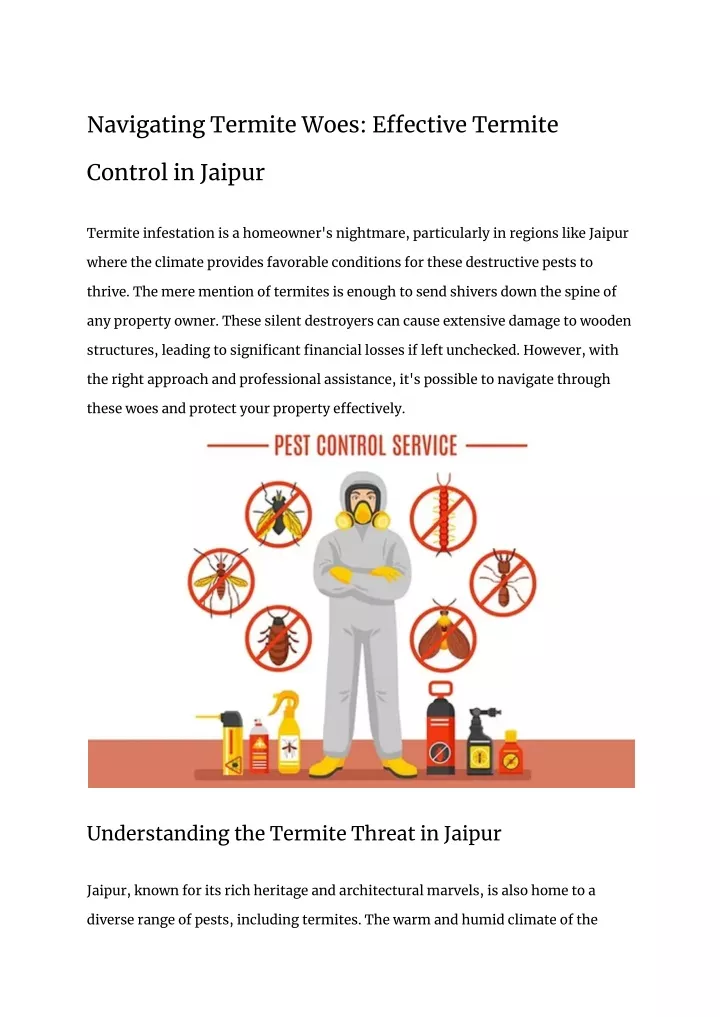 navigating termite woes e ective termite