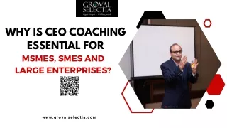 Why is CEO Coaching Essential for MSMEs, SMEs and Large Enterprises?