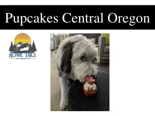 Pupcakes Central Oregon