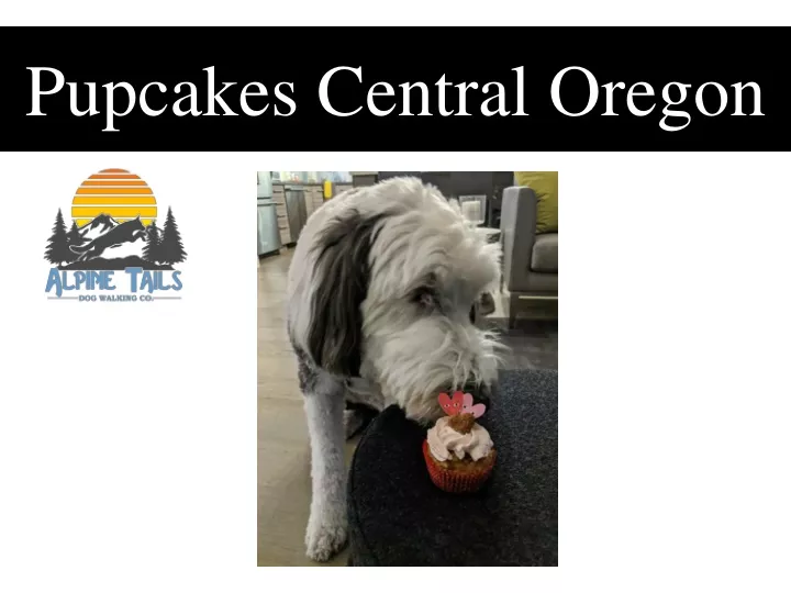 pupcakes central oregon