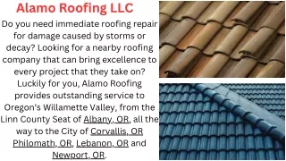 Alamo roofing llc