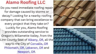 alamo roofing llc (Trusted Roofers at Your Service)