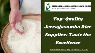 Top-Quality Jeeragasamba Rice Supplier: Taste the Excellence