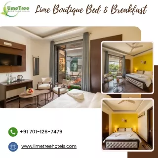 Best Hotel in Kailash Colony | Lime Tree Hotels