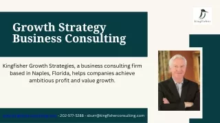 Growth Strategy Business Consulting - Kingfisher Growth Strategies