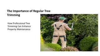 Expert Tree Service: San Diego & Chula Vista Specialists