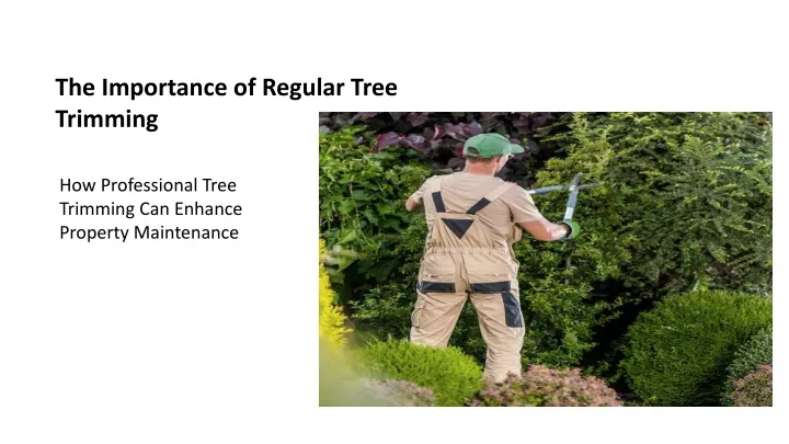 the importance of regular tree trimming
