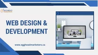 Web Design & Development - Egghead Marketers