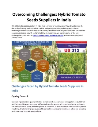 Overcoming Challenges: Hybrid Tomato Seeds Suppliers in India