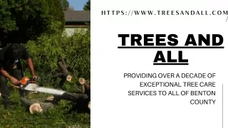 Trees and All (Licensed. Bonded. Insured)