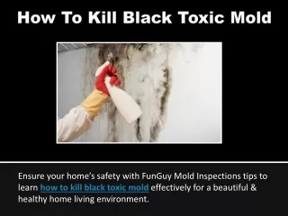 How To Kill Black Toxic Mold
