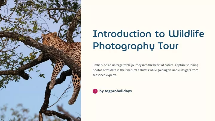 introduction to wildlife photography tour