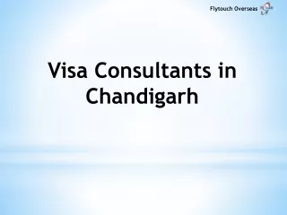 Visa Consultants Service in Chandigarh