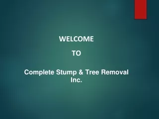 welcome to