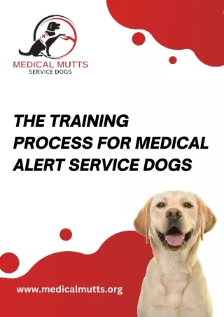 The Training Process for Medical Alert Service Dogs | Medical Mutts