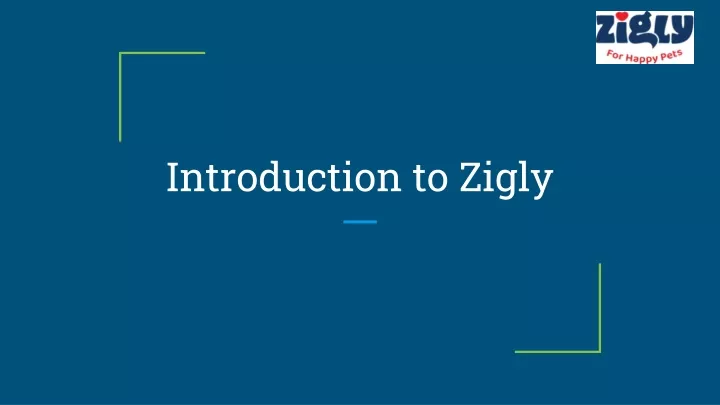 introduction to zigly