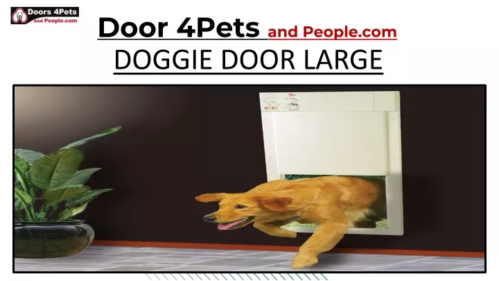 door 4pets and people com