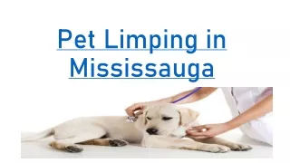 Pet Limping Mississauga