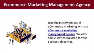 Ecommerce Marketing Management Agency