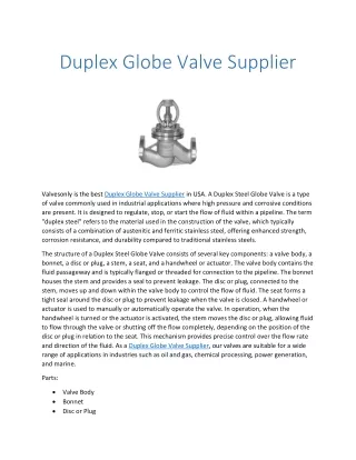 Duplex Globe Valve Supplier