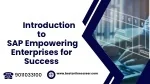 SAP - slide 1