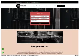 Immigration Lawyer in Faridabad