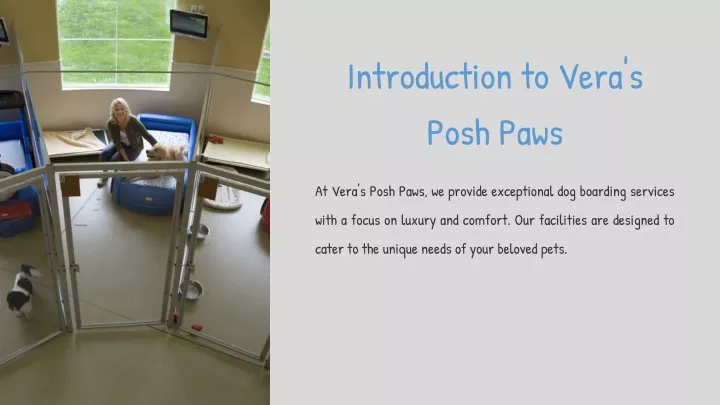 introduction to vera s posh paws